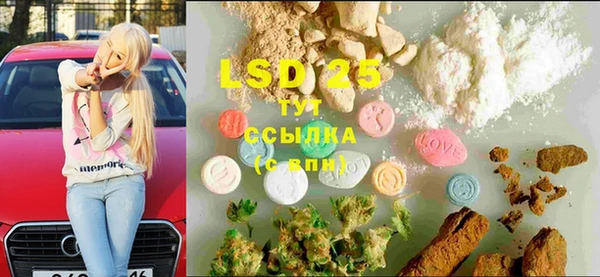 индика Армянск