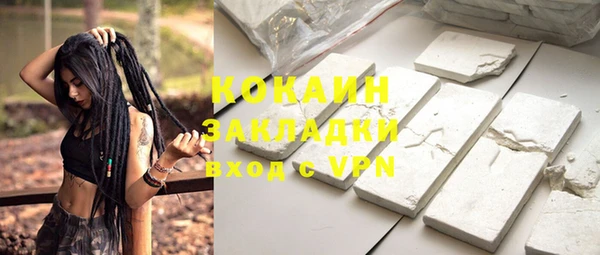 индика Армянск