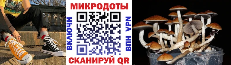 Галлюциногенные грибы мухоморы  Байкальск 